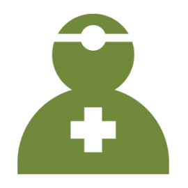 icon health insurance